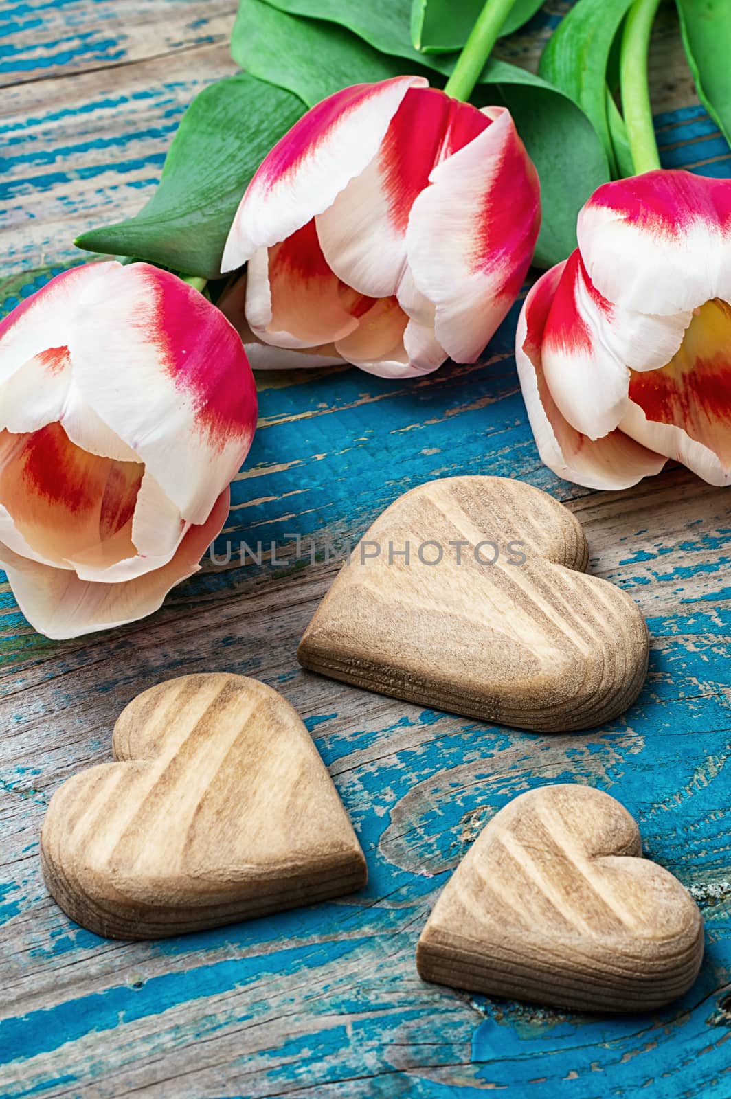 hand-carved symbolic wooden heart on a background red white Tulip