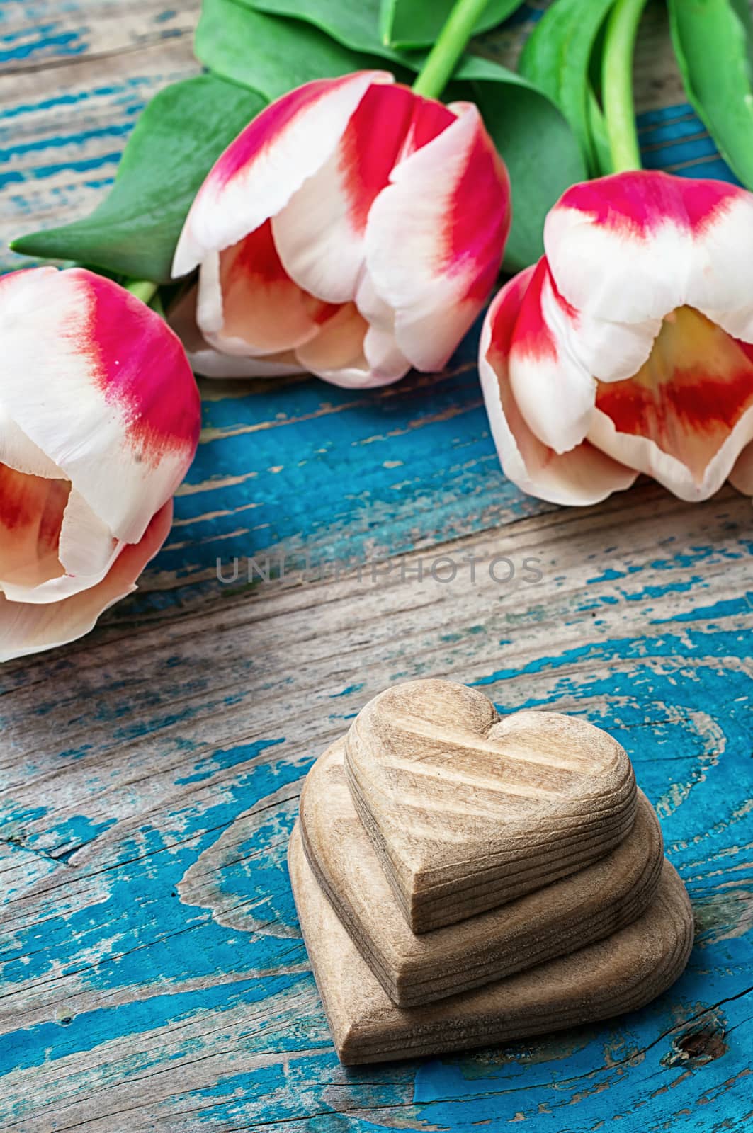 hand-carved symbolic wooden heart on a background red white Tulip