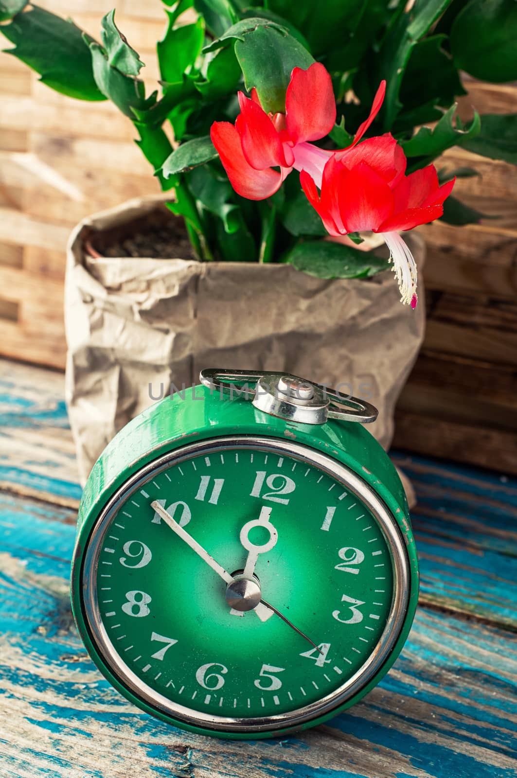 symbol of spring green clock and blossoming flower.Image is tinted in vintage style