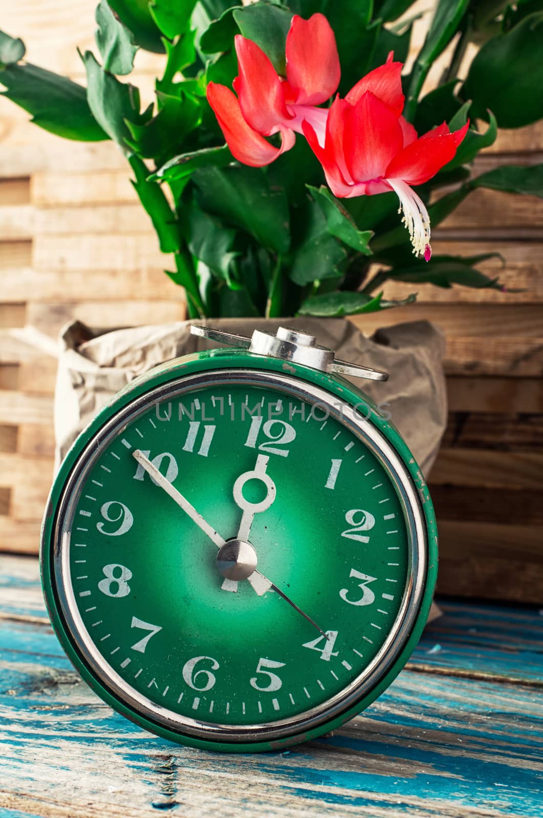 symbol of spring green clock and blossoming flower.Image is tinted in vintage style