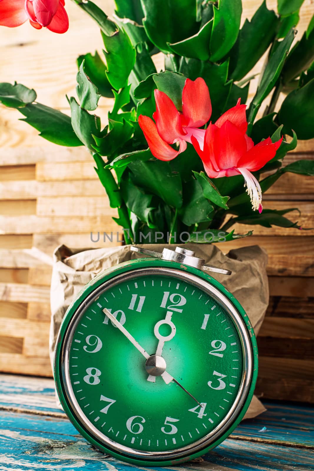 symbol of spring green clock and blossoming flower.Image is tinted in vintage style