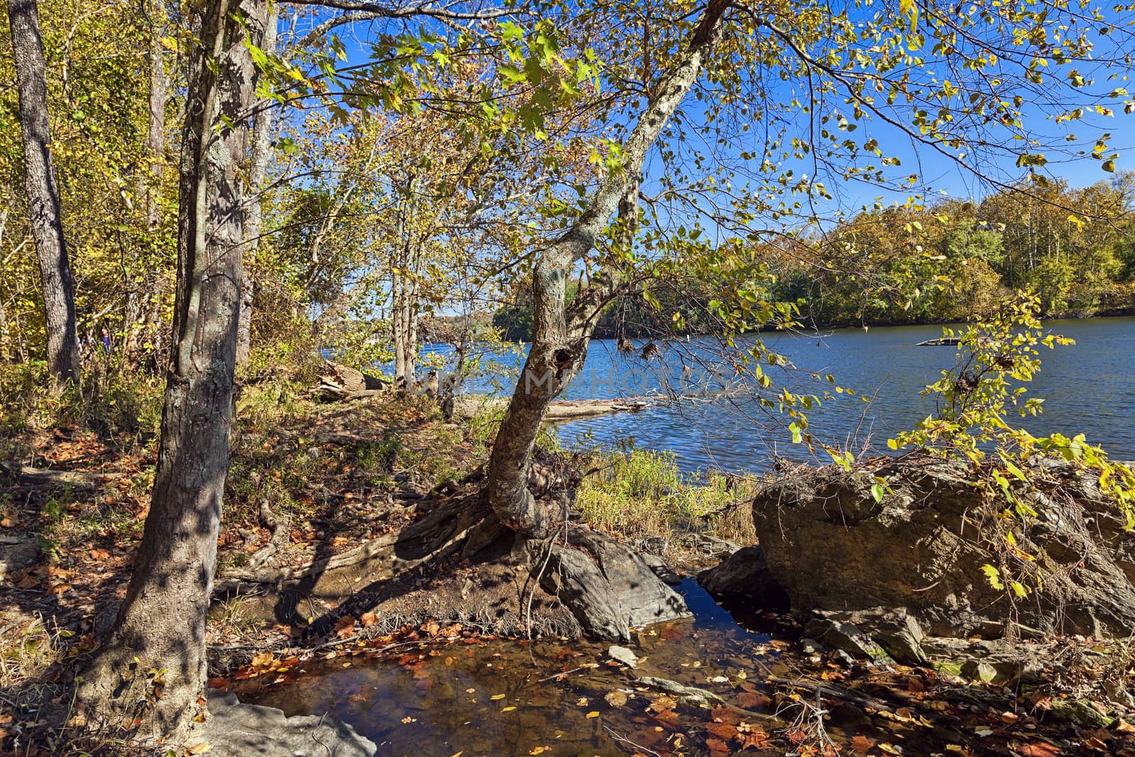 Potomac River in the Autumn by hanusst