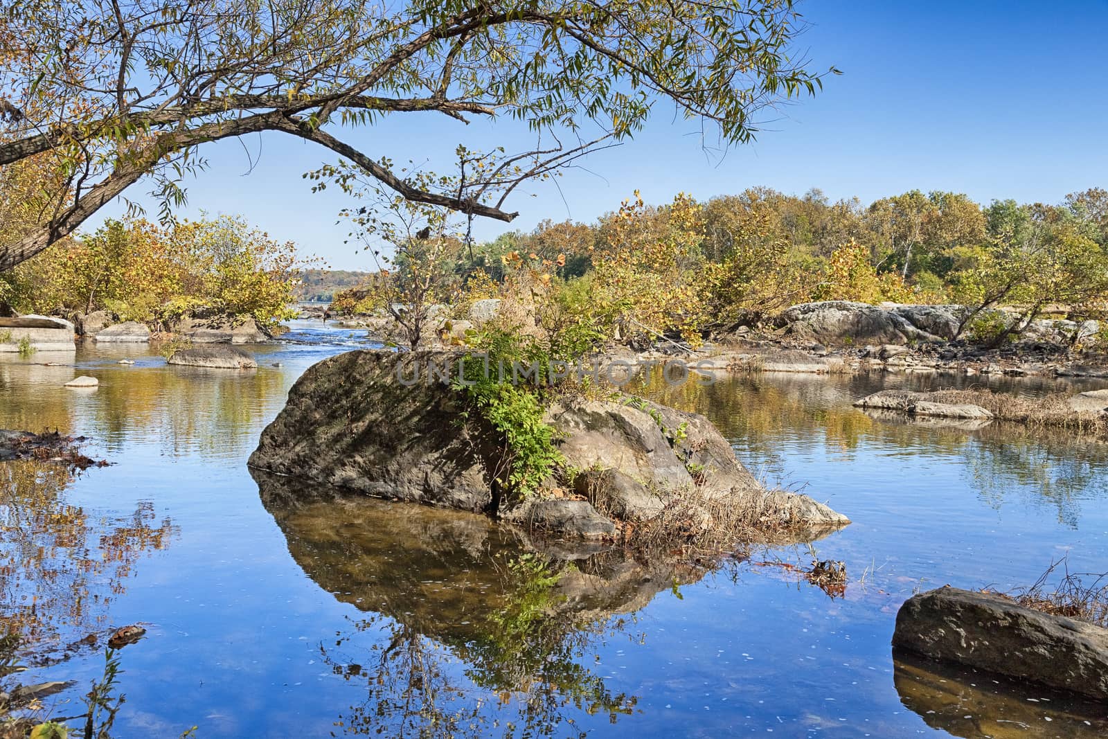 Potomac River in the Autumn - Virginia, USA