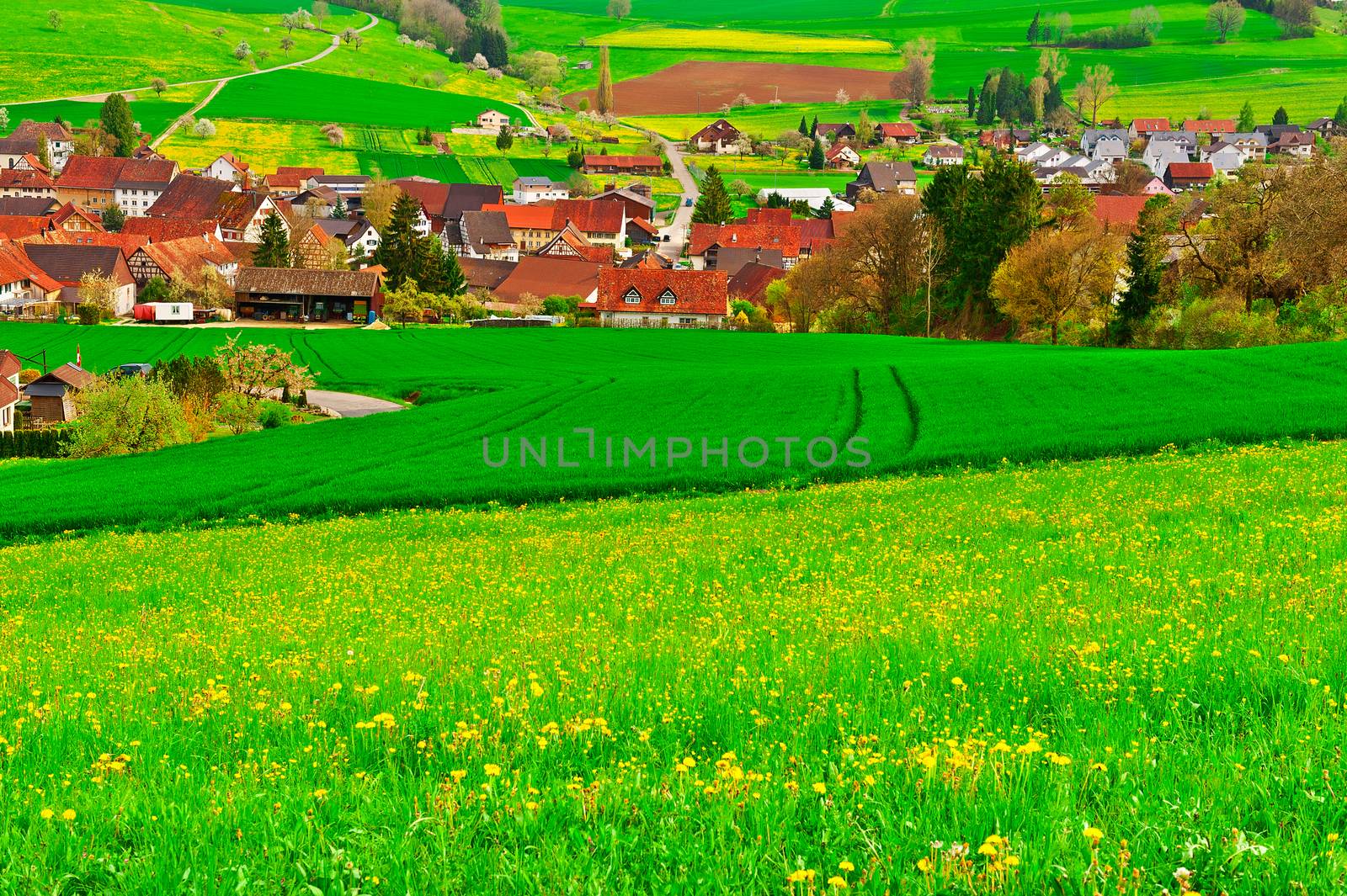 Small City High Up in the Swiss Alps Surrounded by Pastures 