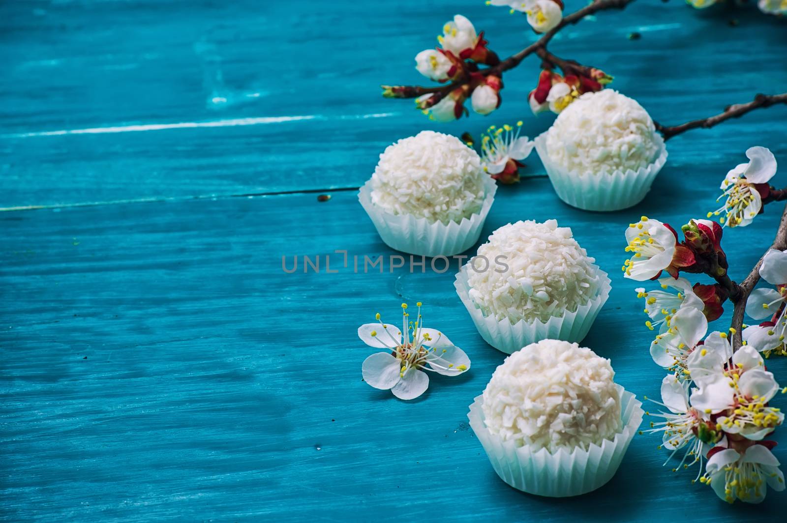 round candy on the background of the spring flowering tree branches on wooden surface.Selective focus