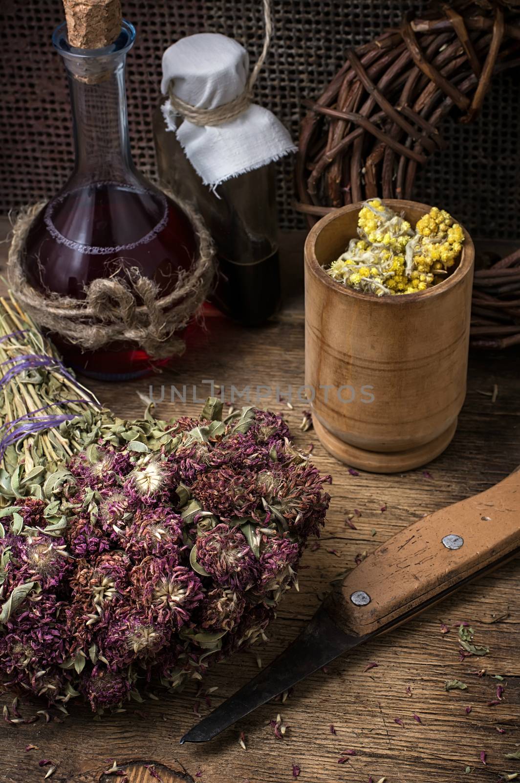 dried medicinal licorice root and mother and stepmother.Selective focus