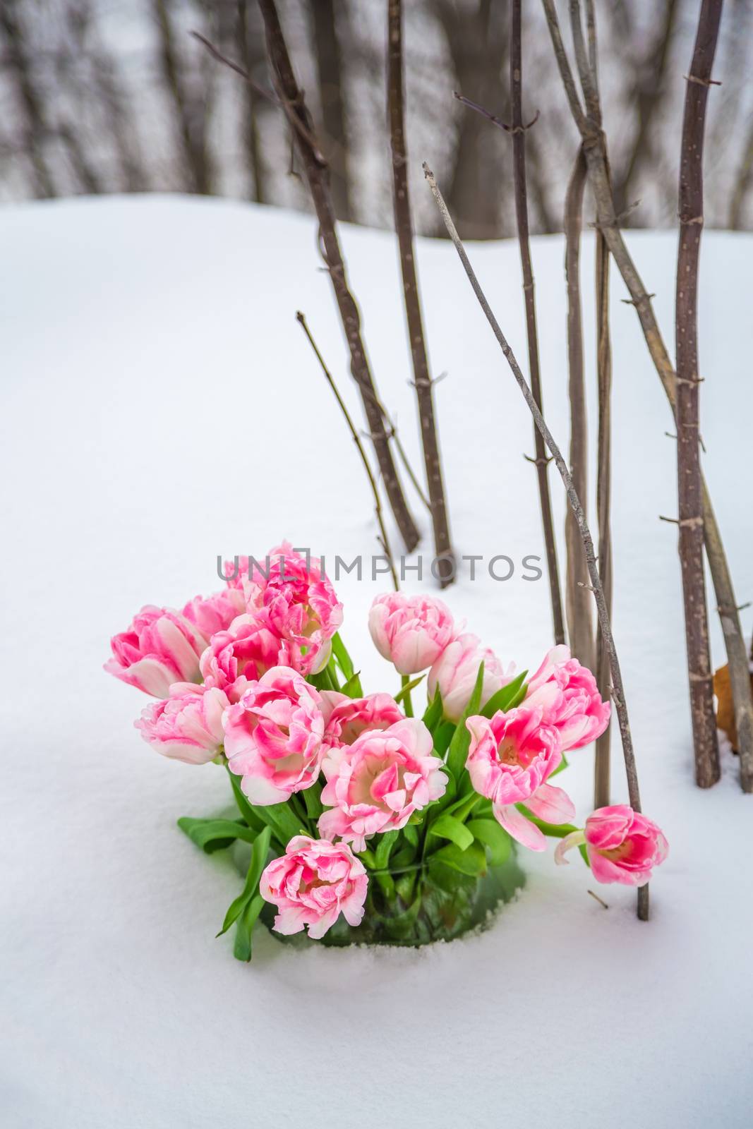 Fresh flowers in a vase standing in the snow