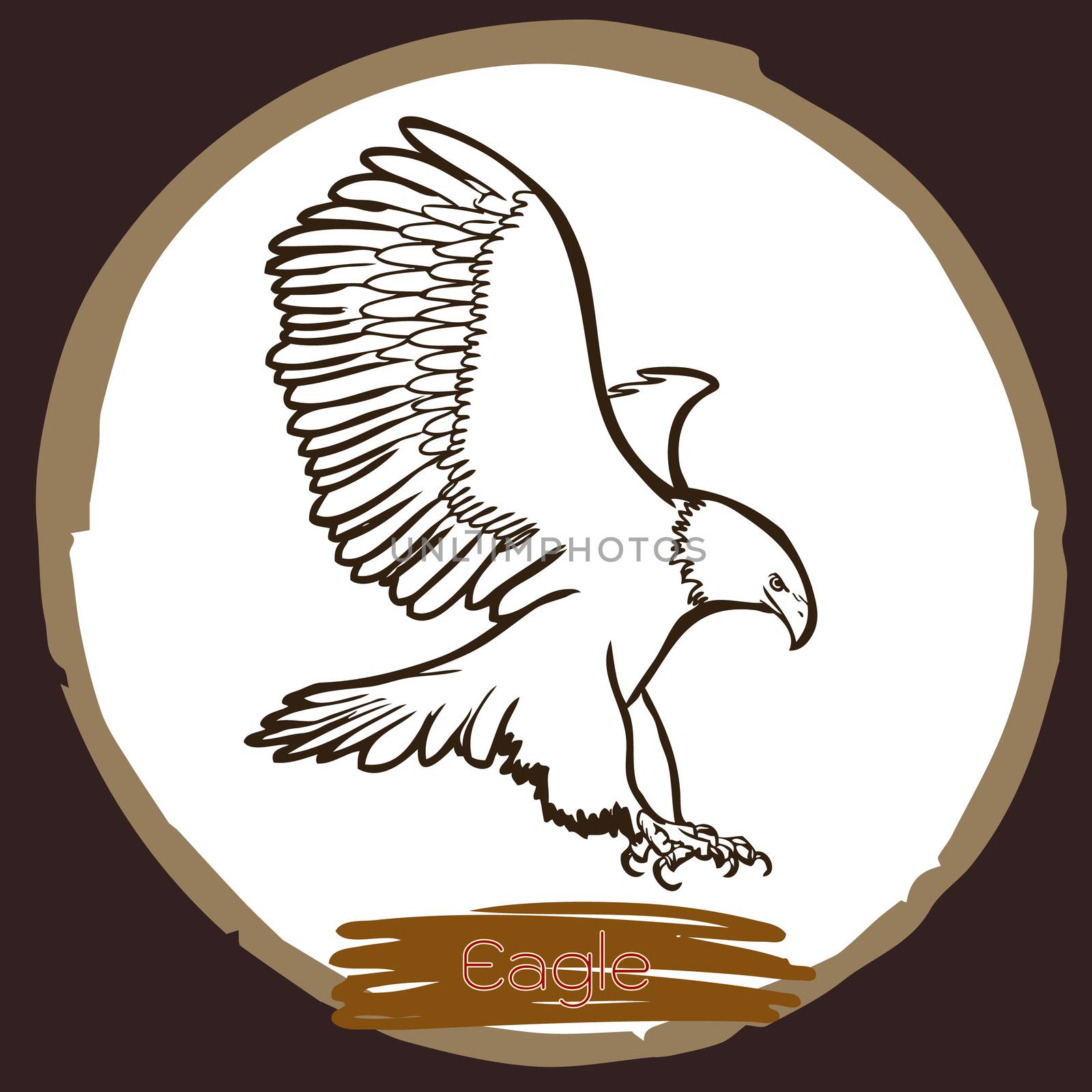 illustration of eagle, hawk bird  by simpleBE