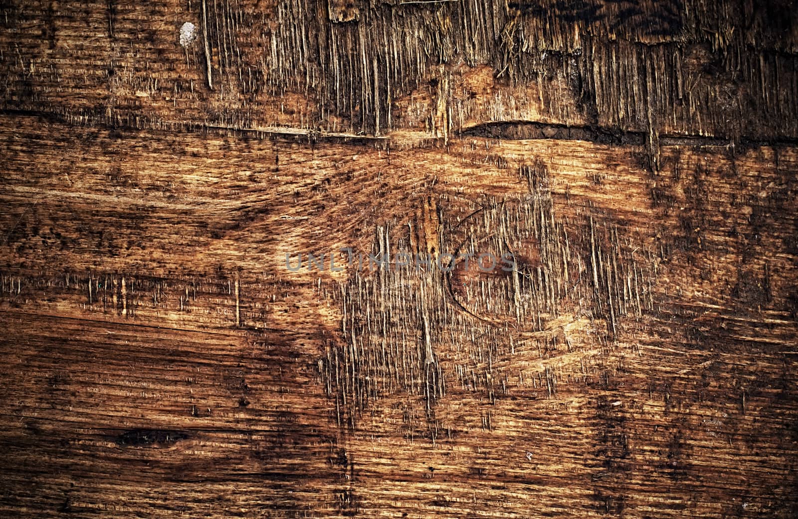putrescency texture wooden surface by LMykola