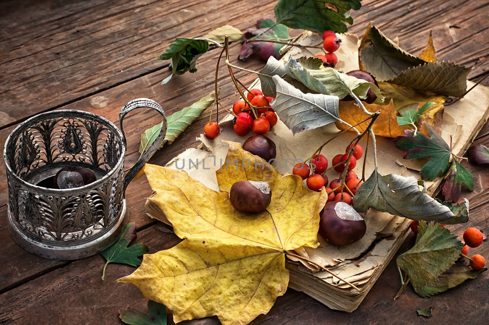 autumn leaf fall by LMykola