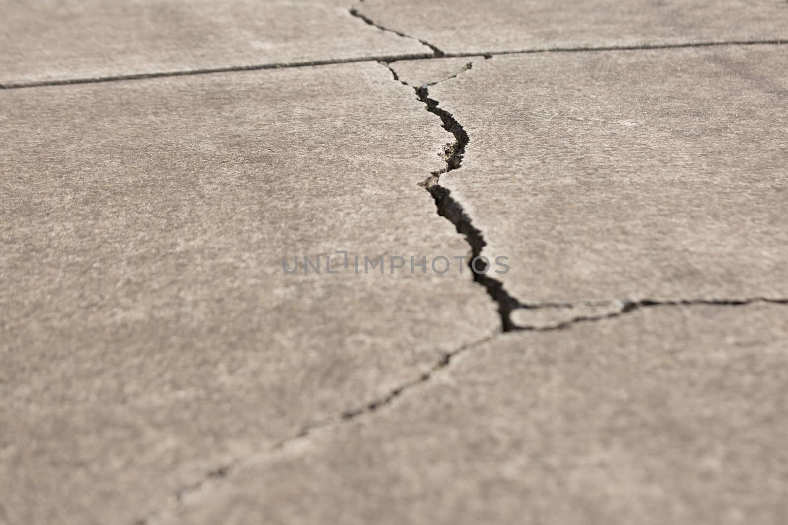 Cracked Walkway by davidhewison