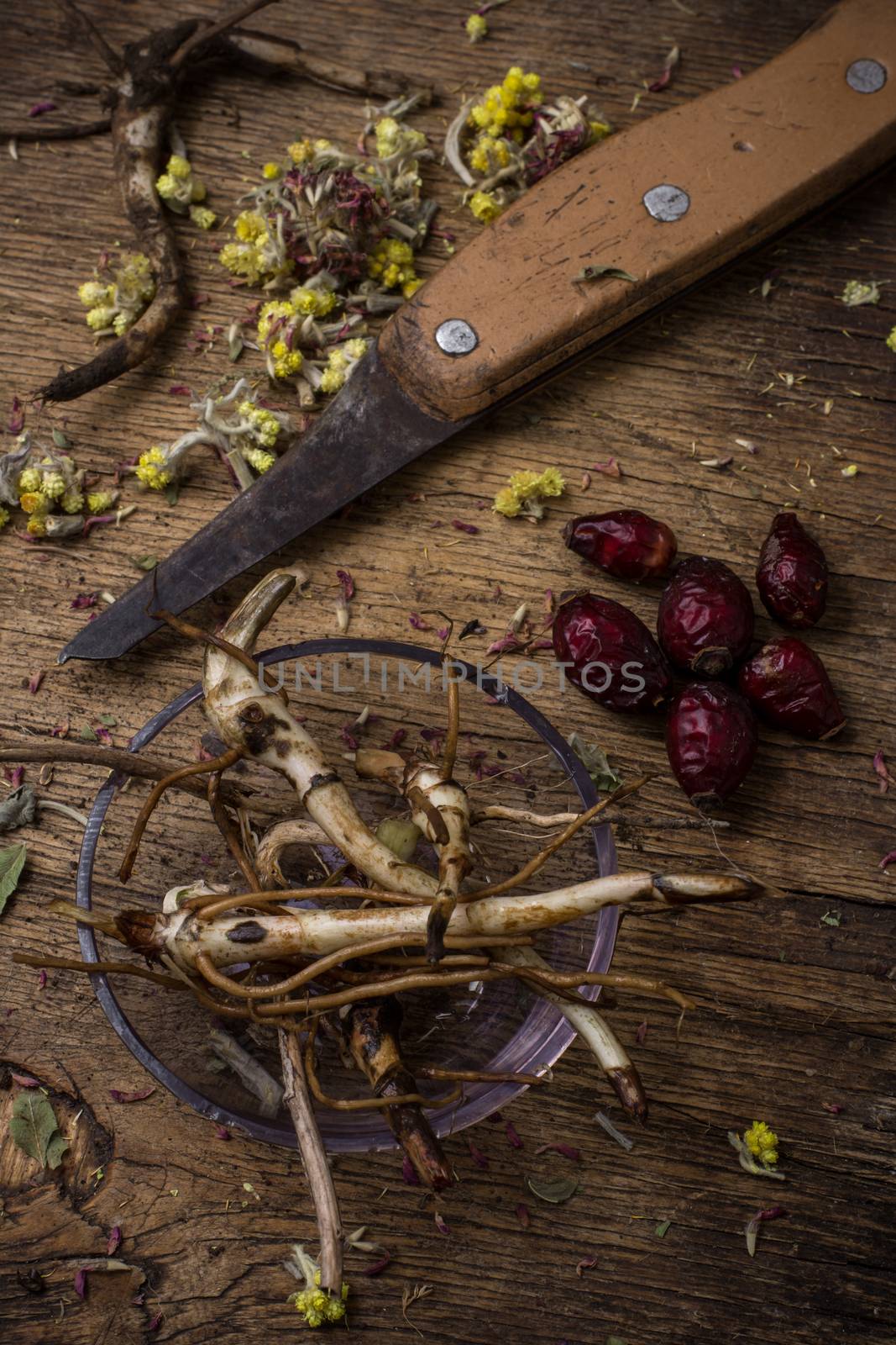  root of healing herbs and rose hips in the rural style.Selective focus