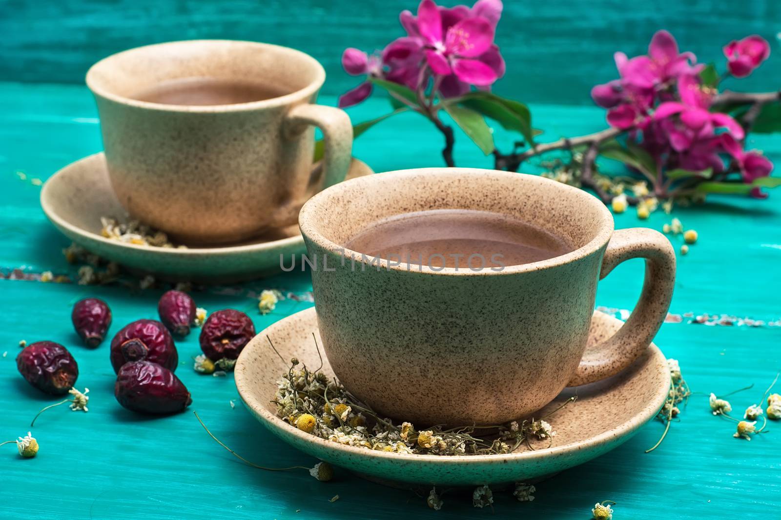 fragrant tea brewed with chamomile in ceramic mugs amid blossoming branch.Selective focus