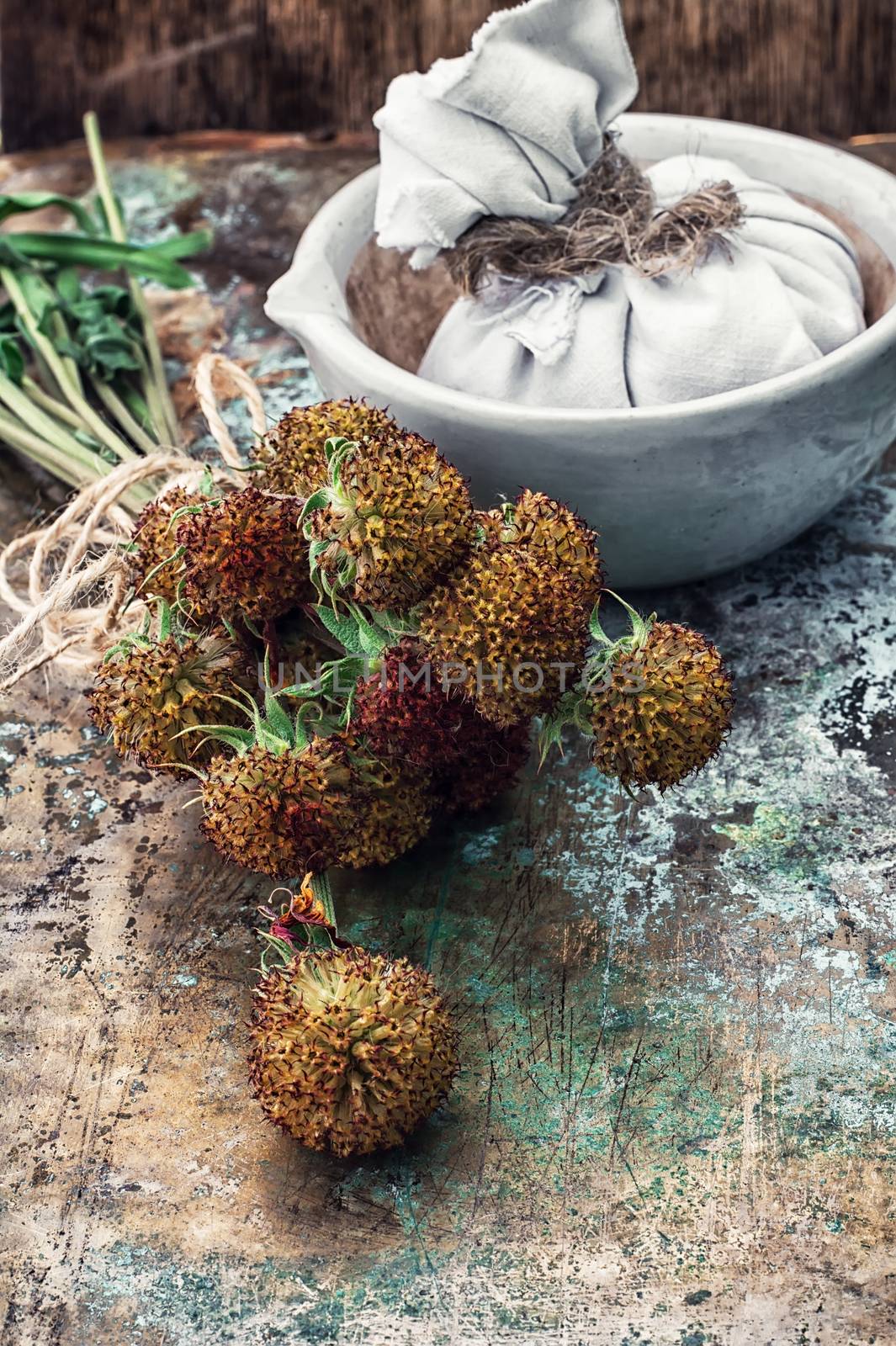 assembled the dried yield healing herbs traditional medicine and ceramic mortar.Photo tinted