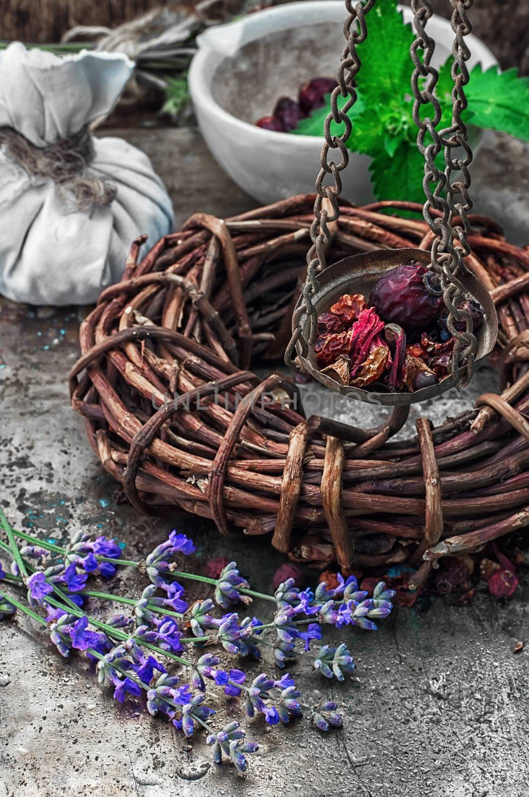 assembled the dried yield healing herbs traditional medicine and ceramic mortar.