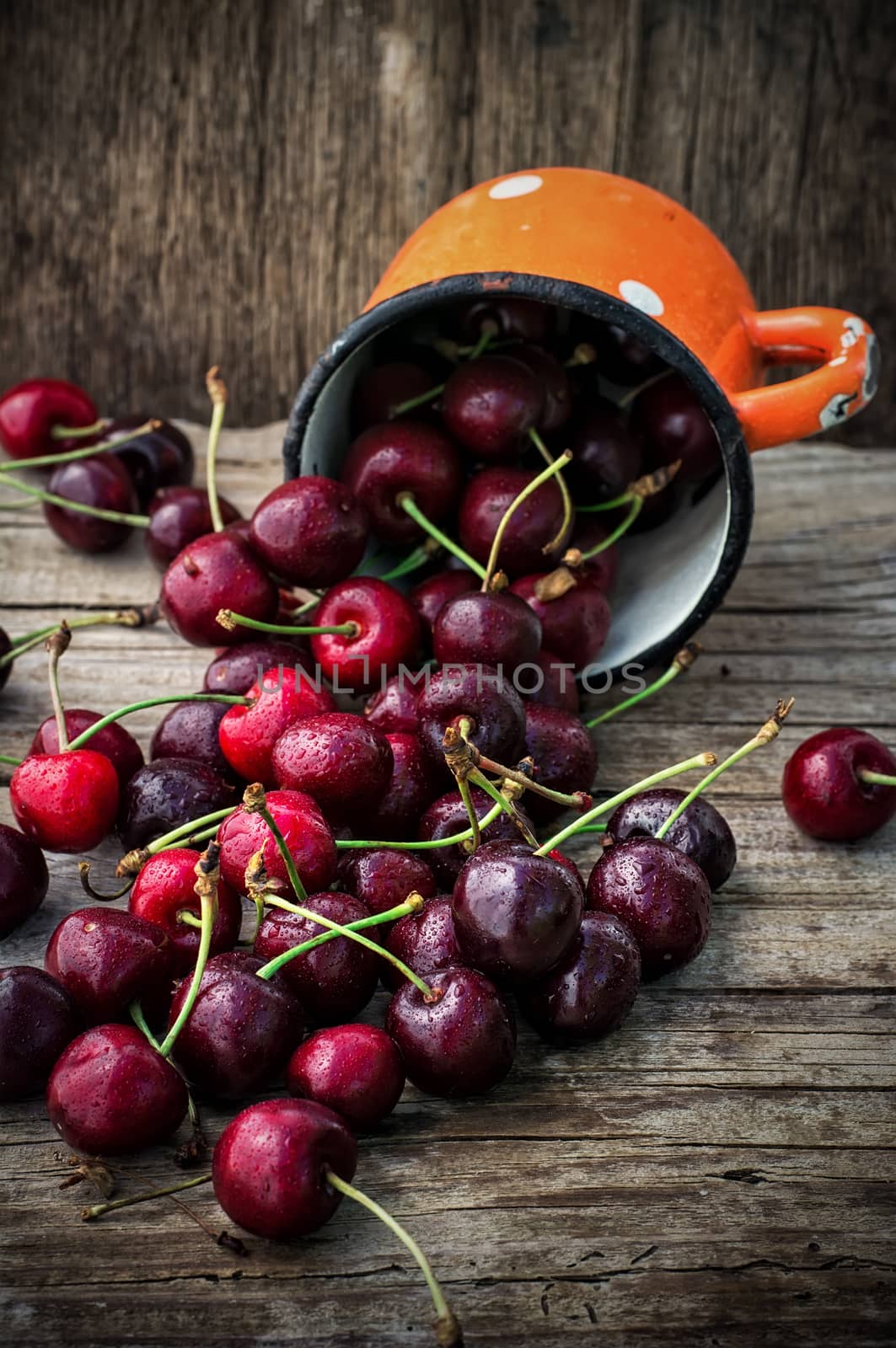 juicy and fresh berries June cherry.The image is tinted.Selective focus
