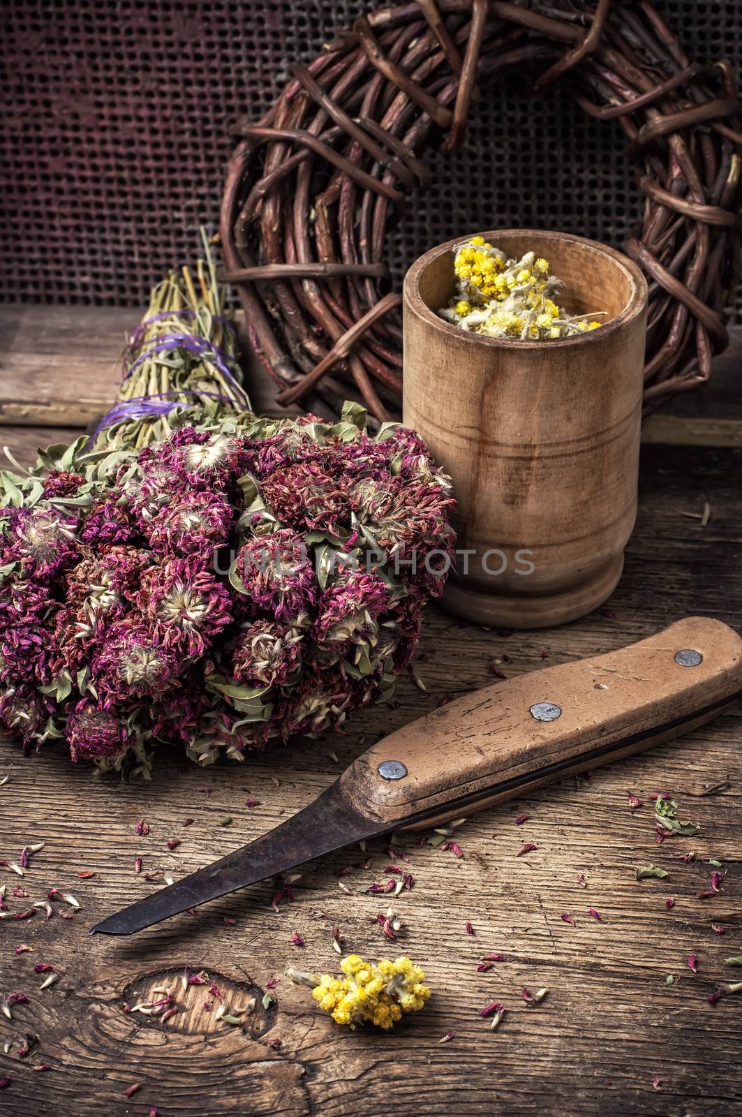 range is collected and dried medicinal herbs and plants for herbalism.Photo tinted