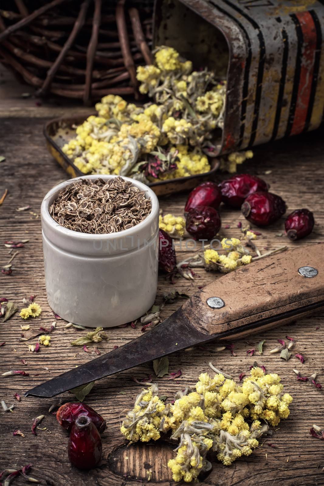 range is collected and dried medicinal herbs and plants for herbalism.