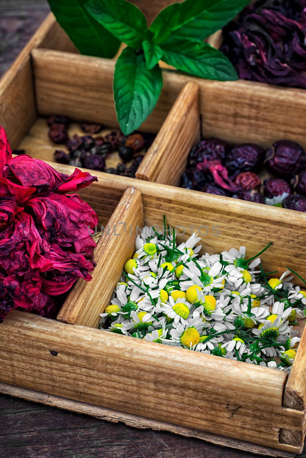 box collected in the fall of medicinal herbs for teas and medicinal teas