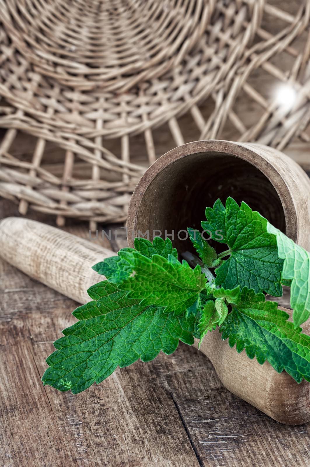 cut stem of lemon balm in mortar with pestle in rustic style.Selective focus