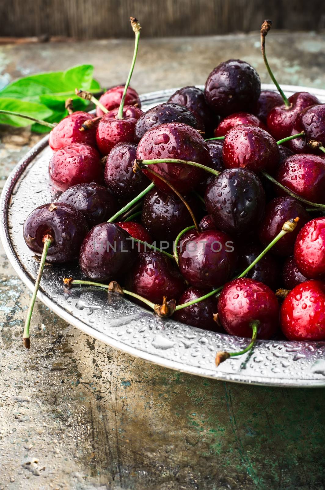 ripe large cherries in the iron bowl iron on the background in bright sunlight.The image is tinted.Selective focus