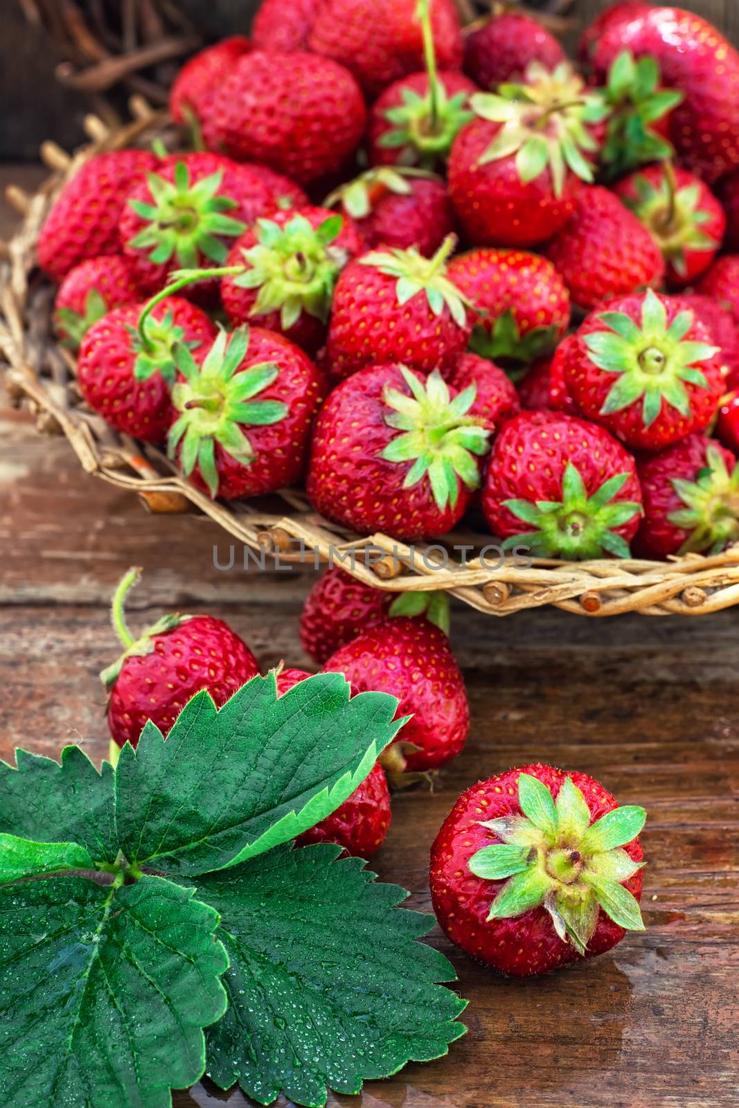 wicker basket with ripe strawberries on garden table.Selective focus