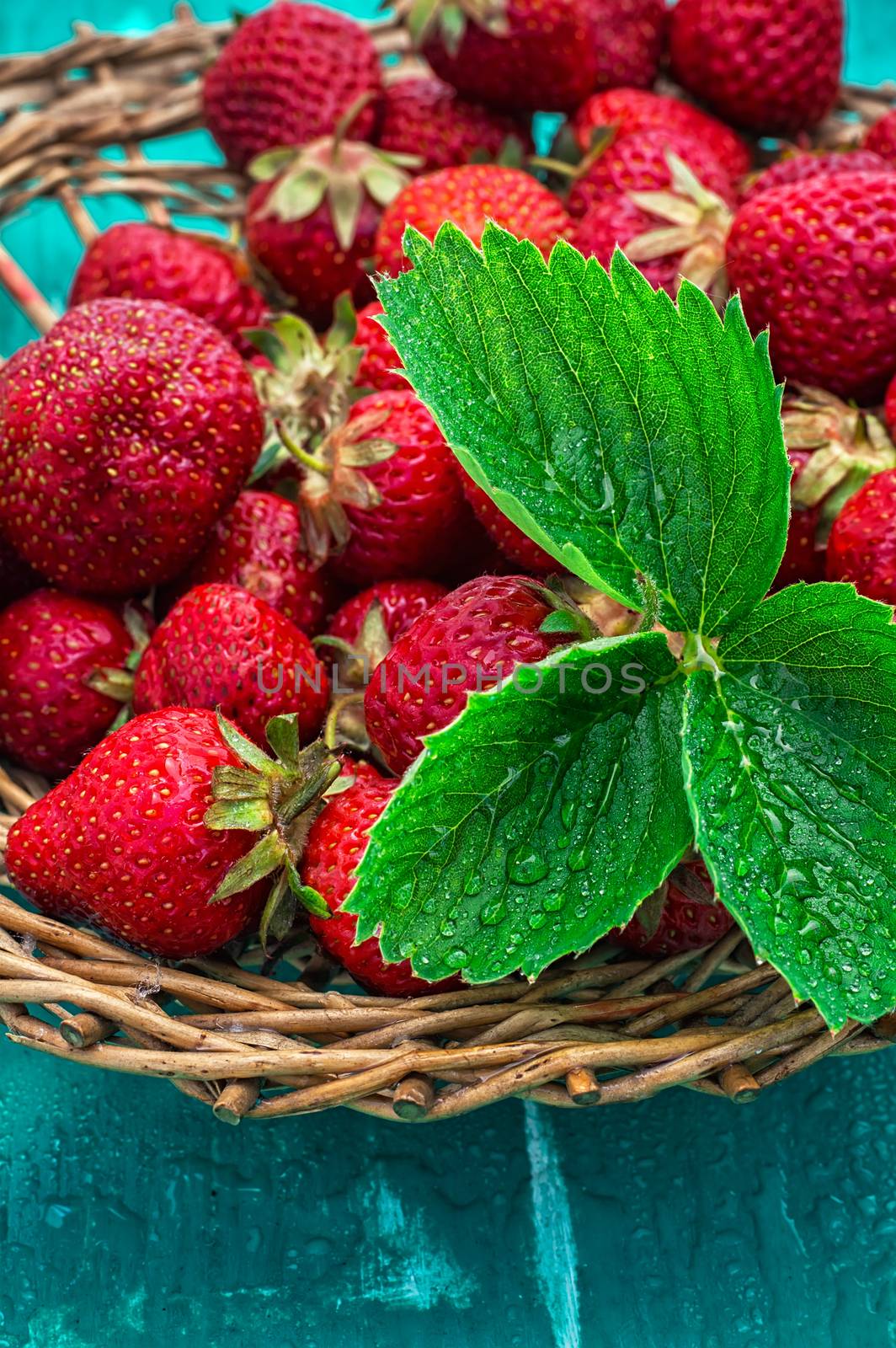 scattered with wicker basket of strawberries on a turquoise background.Selective focus