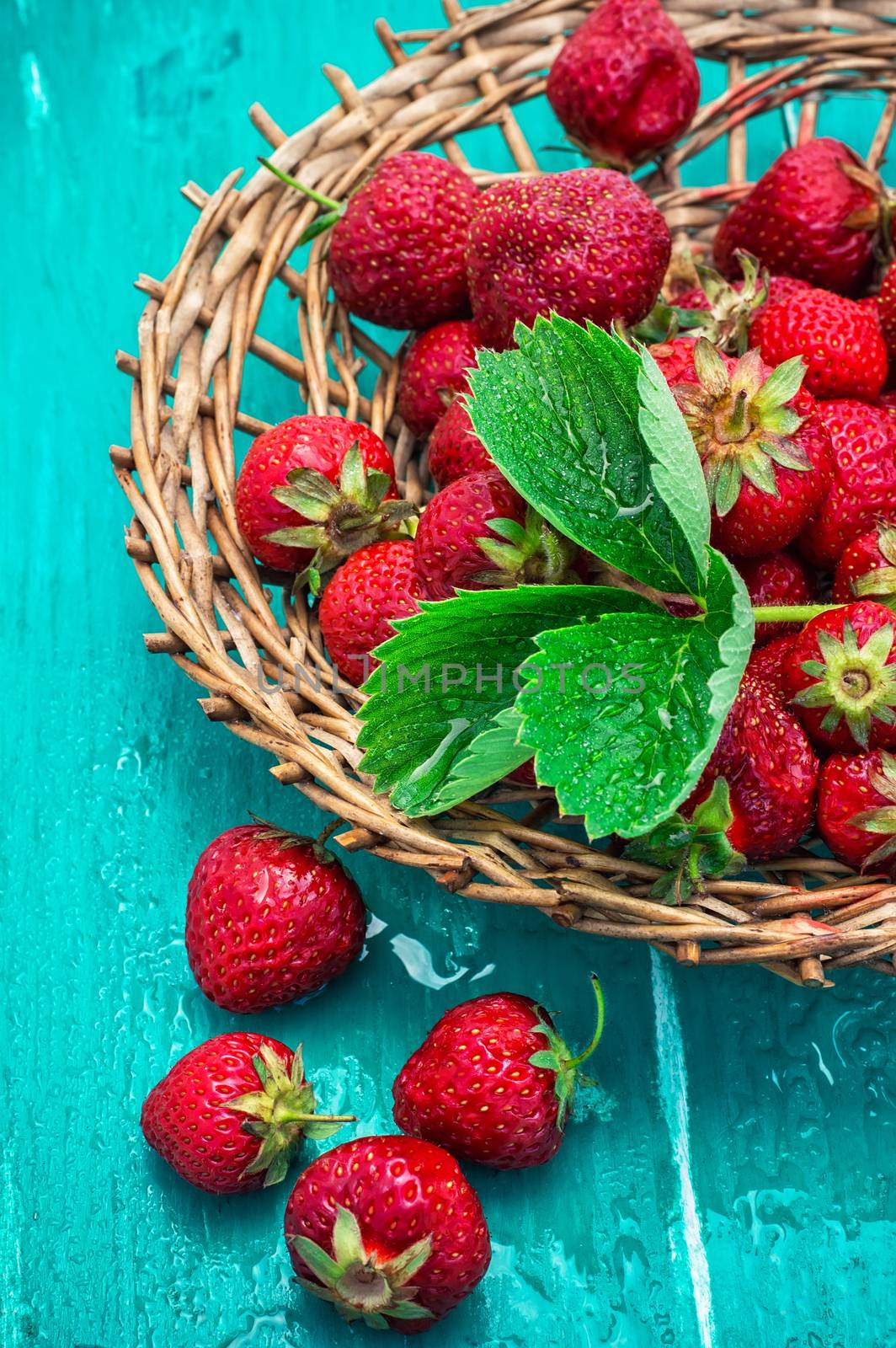 scattered with wicker basket of strawberries on a turquoise background.Selective focus