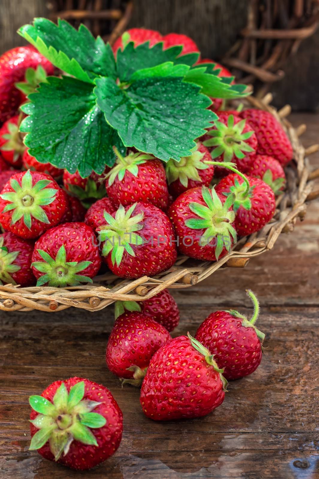 wicker basket with ripe strawberries on garden table.Selective focus