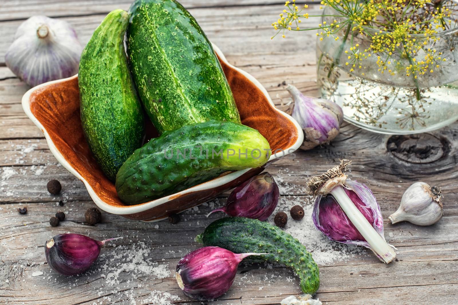 Cucumber pickled with dill and garlic on wooden table.