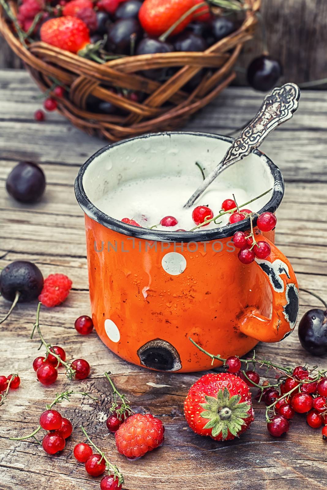summer dessert of ice cream and fresh berries in an iron circle.Photo tinted.
