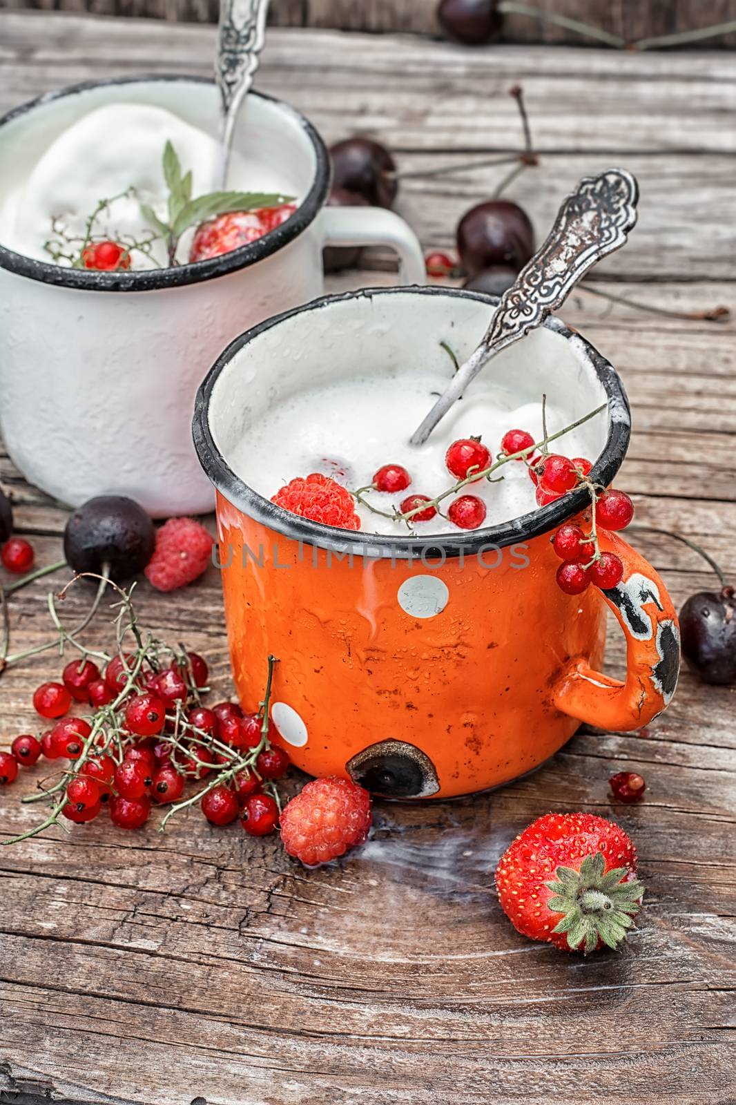 summer dessert of ice cream and fresh berries in an iron circle.Selective focus