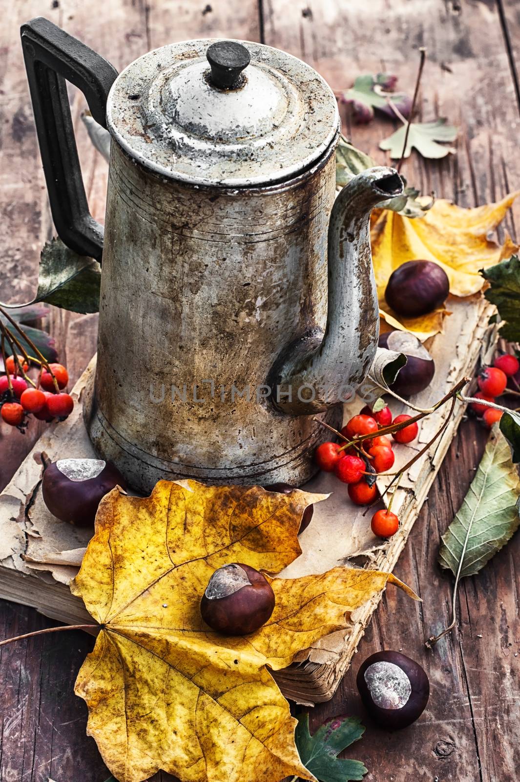 old book on wooden table on background of the kettle strewn with autumn leaves and Rowan.Photo tinted.Selective focus