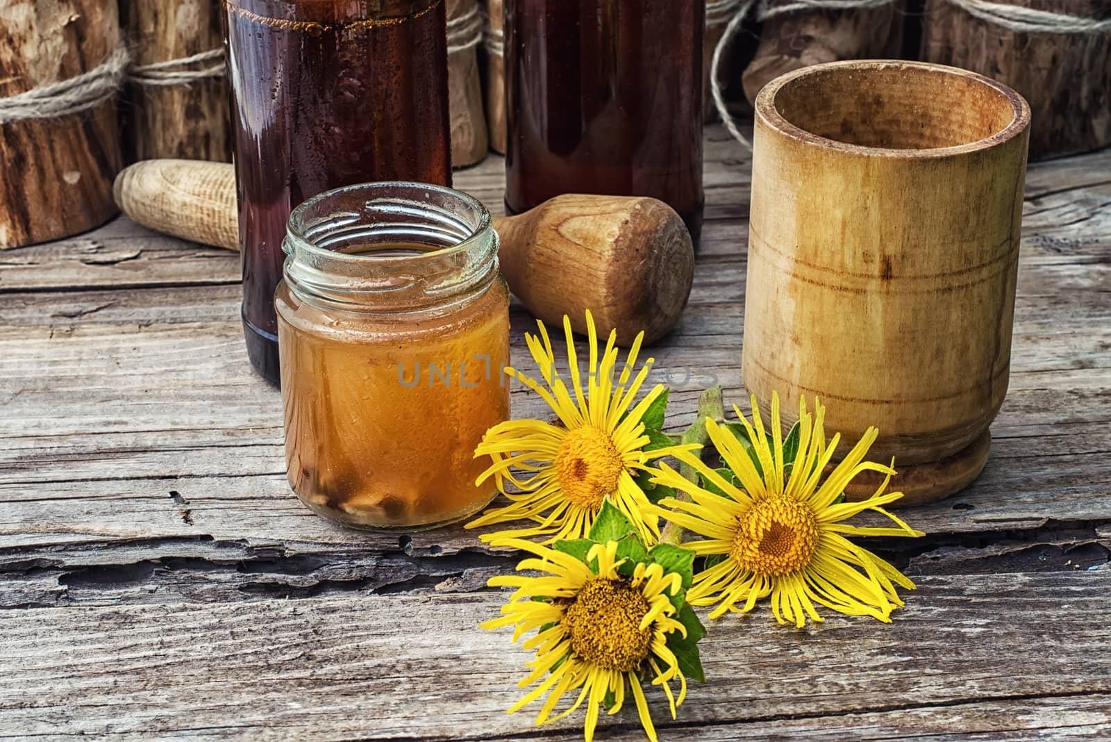 Elecampane tincture by LMykola