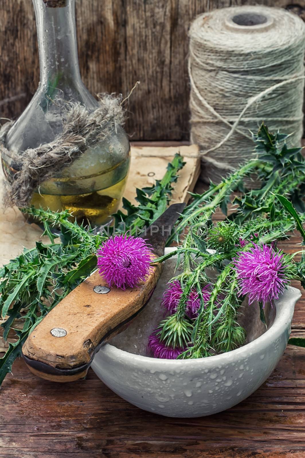 assembled the dried yield healing herbs traditional medicine and ceramic mortar.