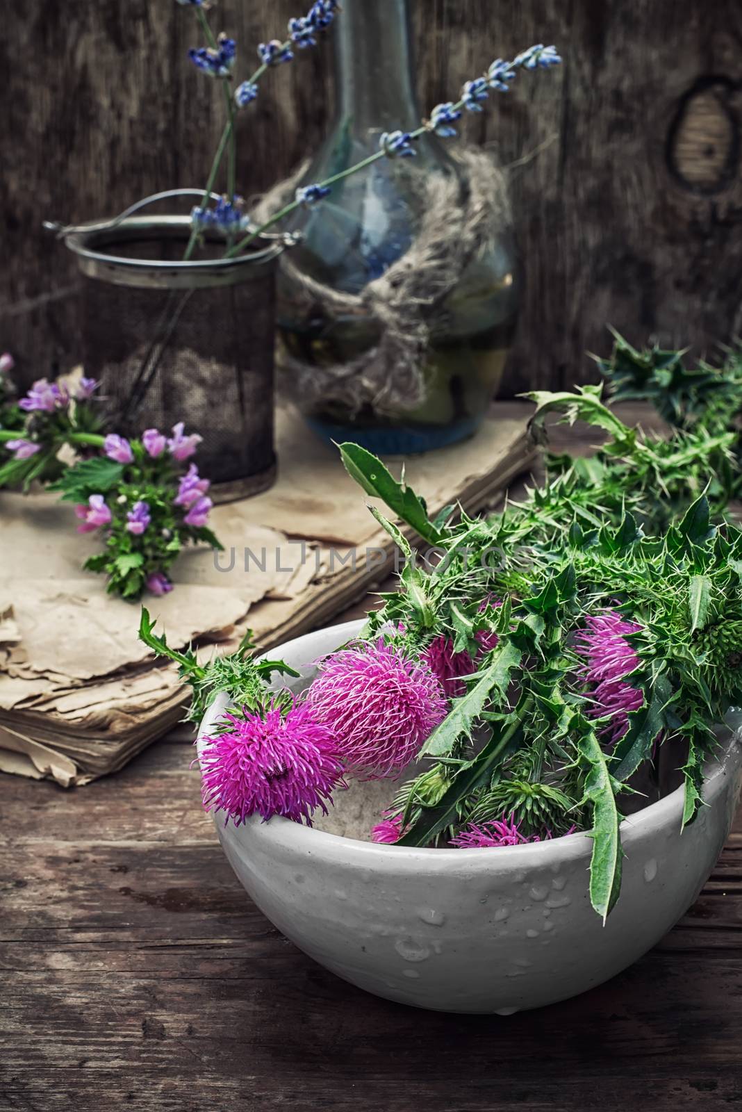 assembled the dried yield healing herbs traditional medicine and ceramic mortar.