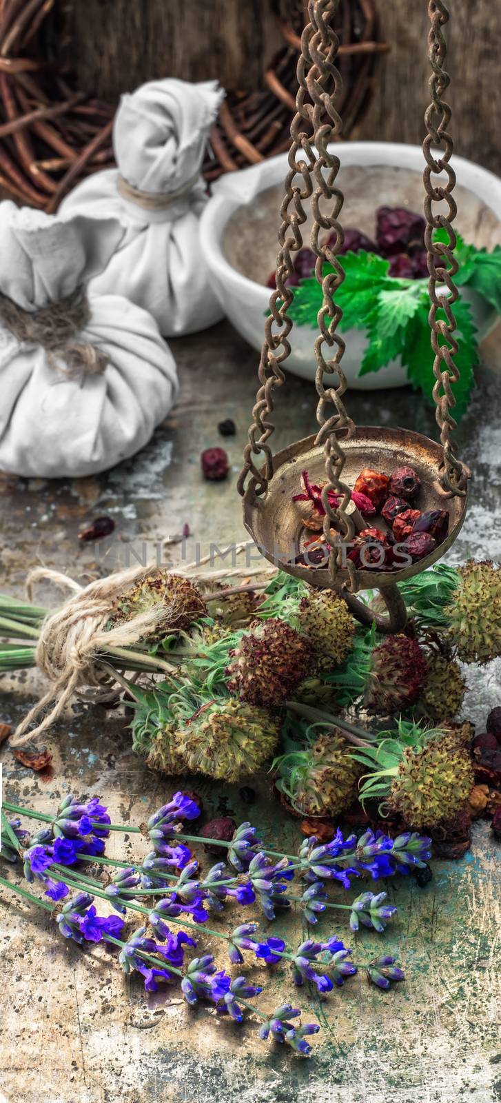 range is collected and dried medicinal herbs and plants for herbalism.Photo tinted