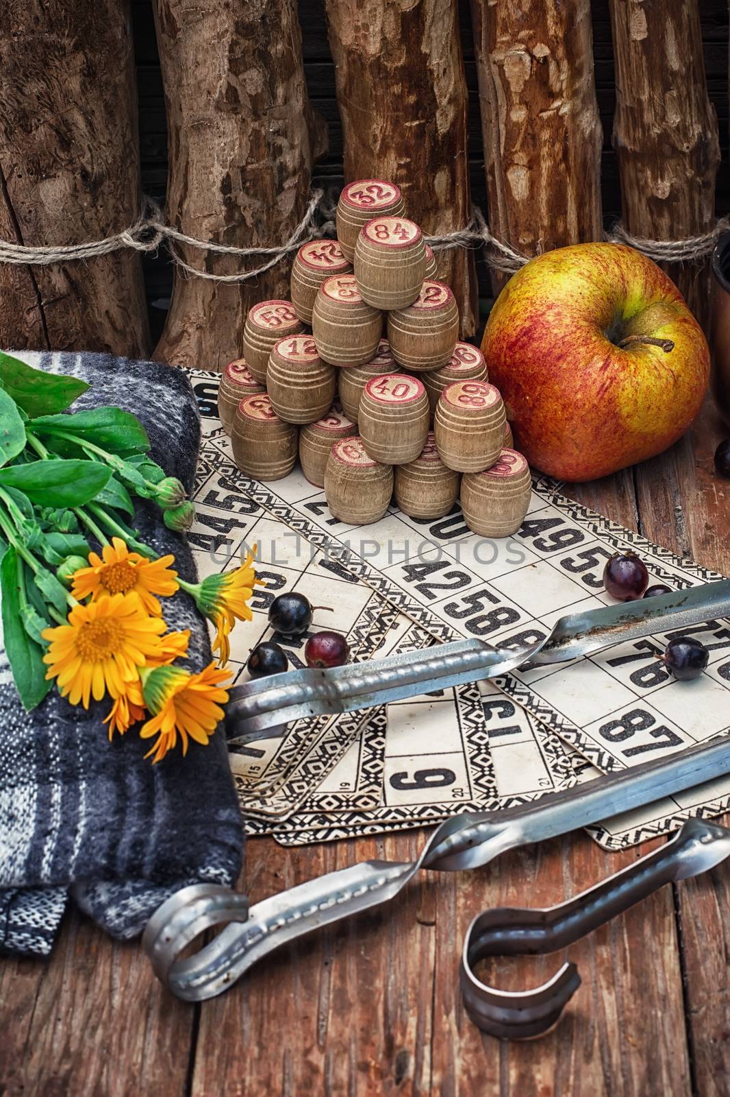 Accessories picnic consisting of peaches,apples and lotto games.Photo tinted.