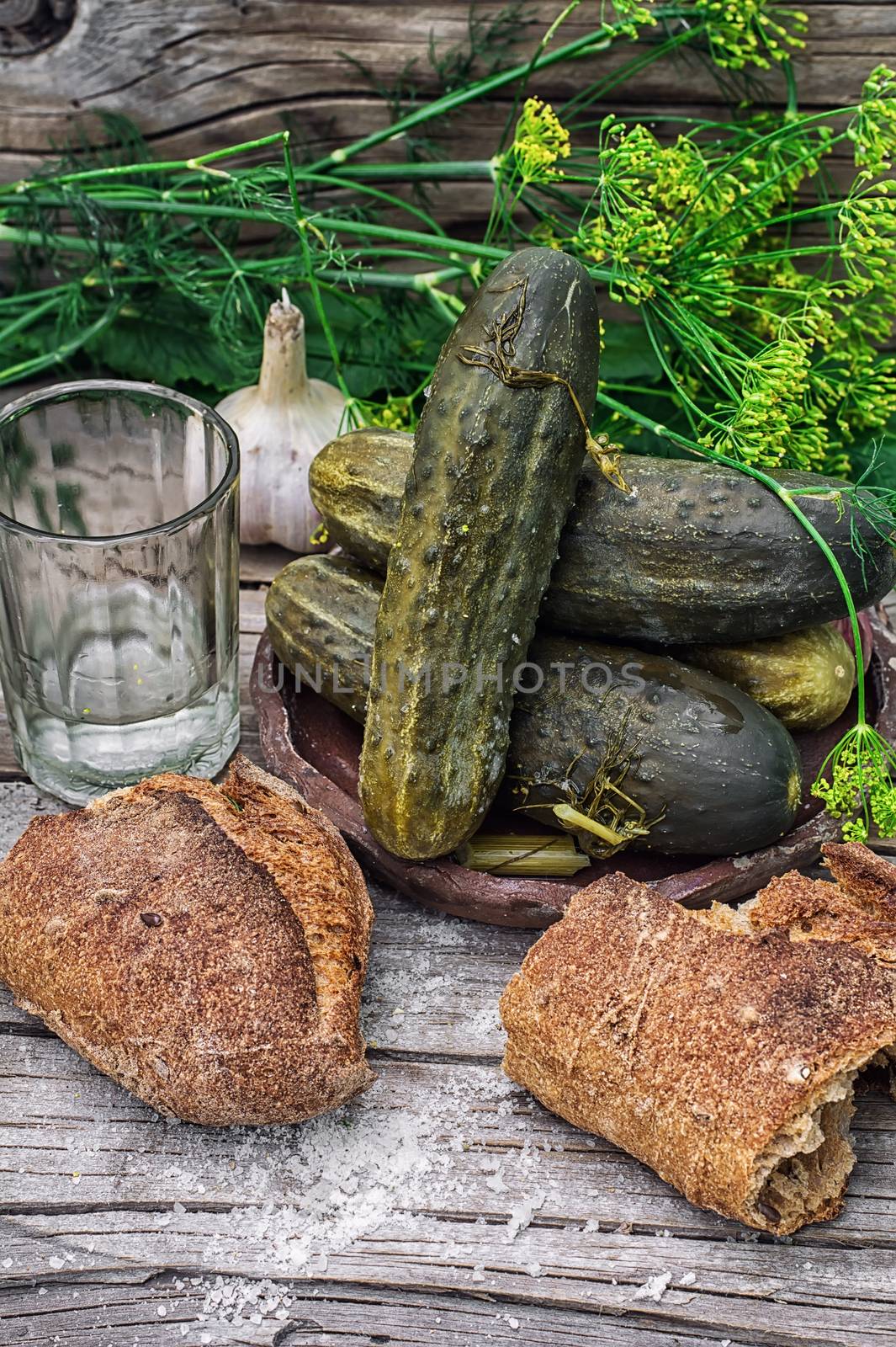 Pickled cucumbers with dill and vodka shot glass on wooden background in country style.Photo tinted.Selective focus