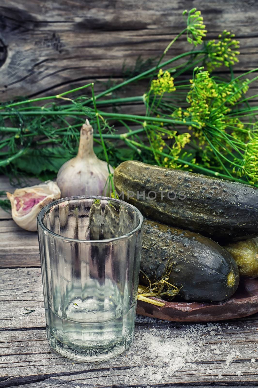 Pickled cucumbers with dill and vodka shot glass on wooden background in country style.Photo tinted.Selective focus