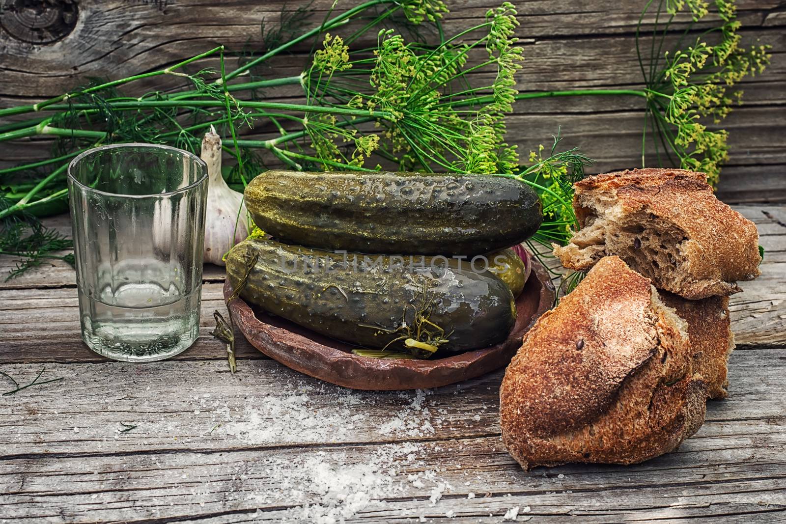 Pickled cucumbers with dill and vodka shot glass on wooden background in country style.Photo tinted.