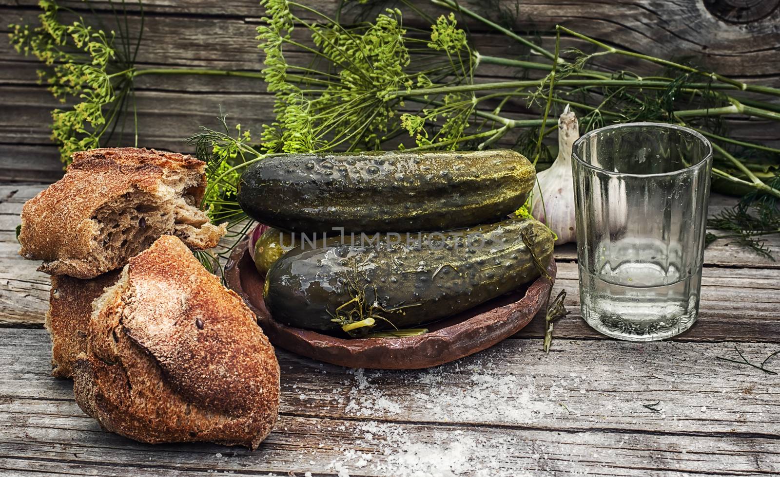 Pickled cucumbers with dill and vodka shot glass on wooden background in country style.Photo tinted.Selective focus