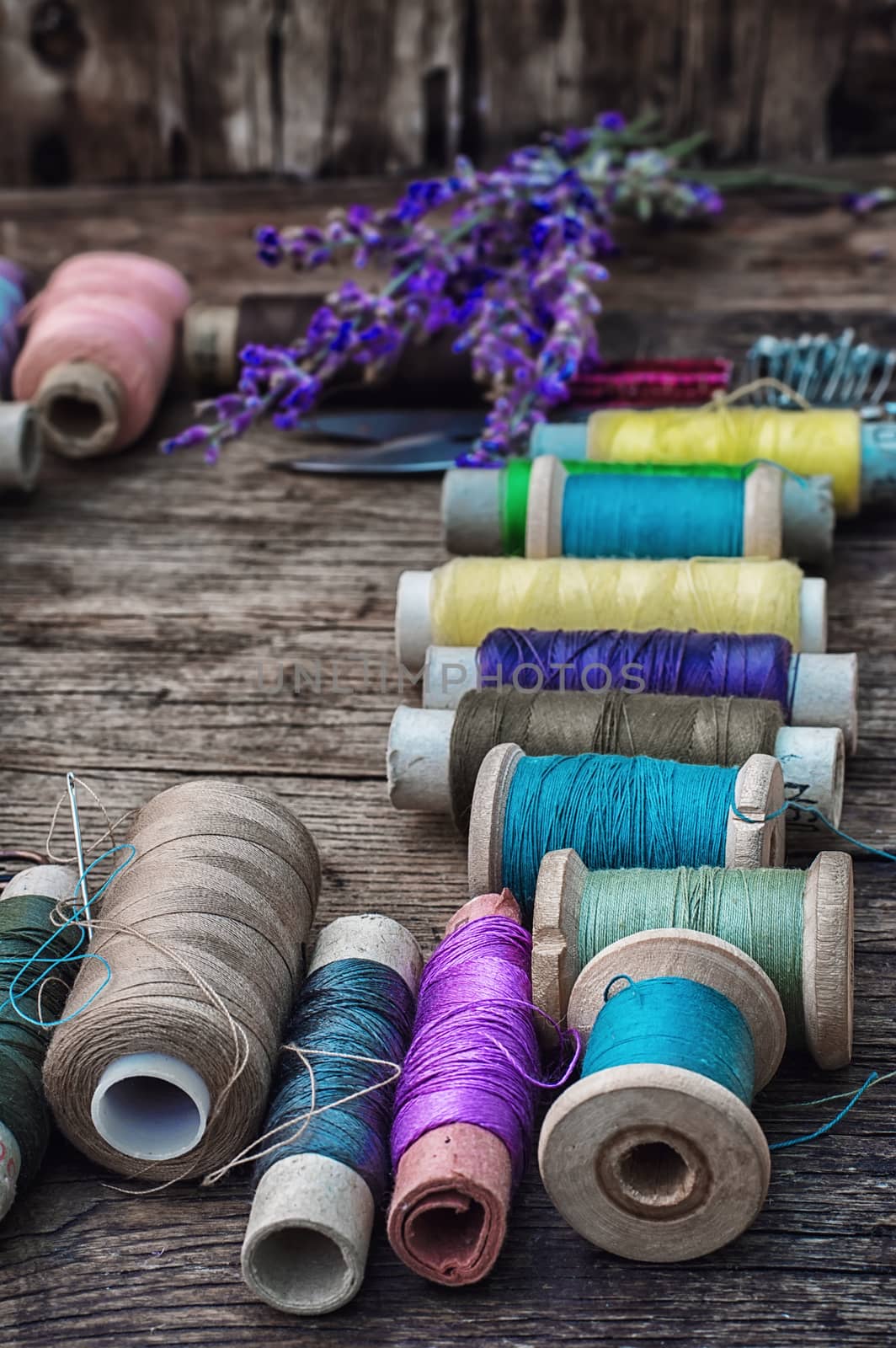 spools of thread on the old wooden background decorated with branches blossoming lavender.Selective focus
