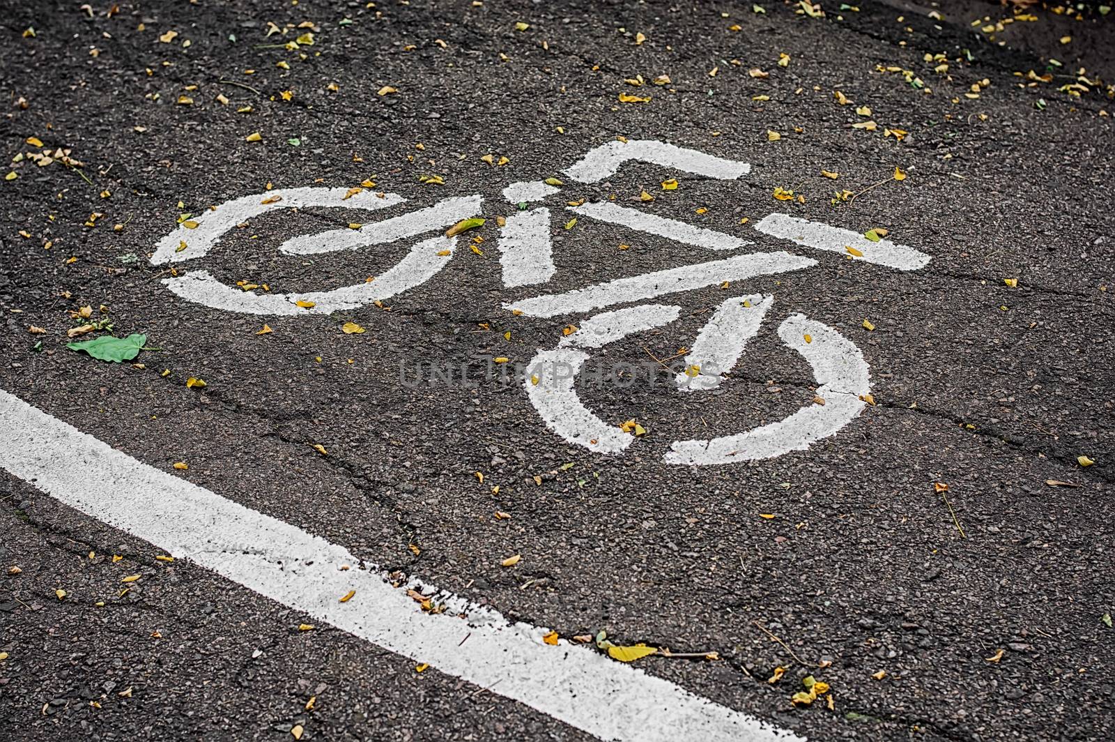 Old bike path in the autumn park.Selective focus