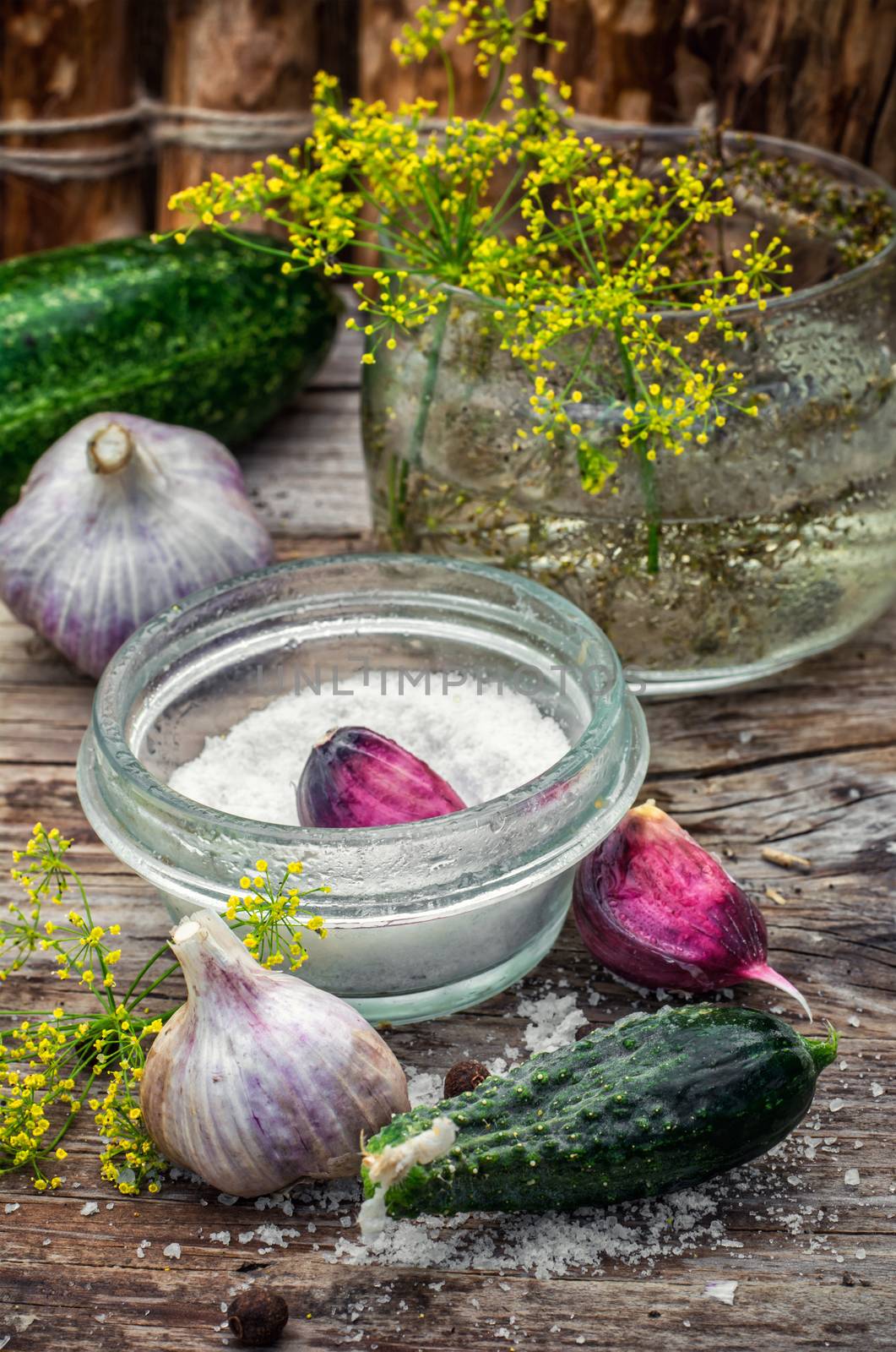 Cucumber pickled with dill and garlic on wooden table.Photo tinted.
