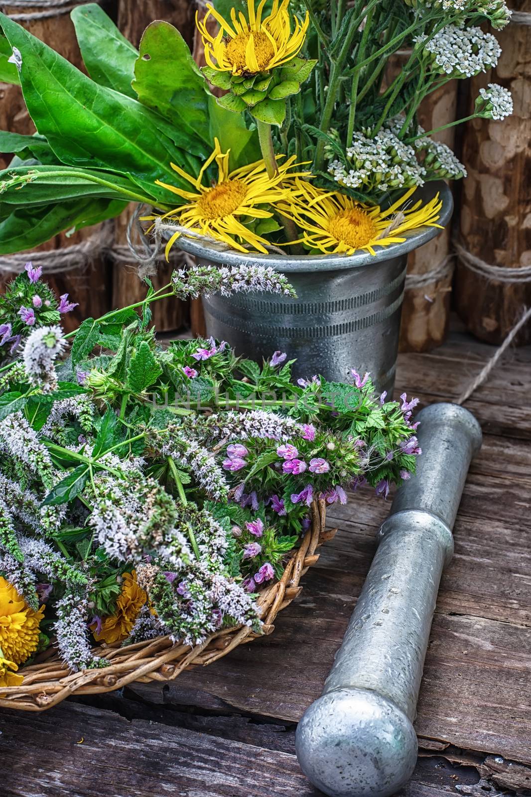 Cut bunch of cherry peppermint amid mortar in the rural style.Photo tinted.