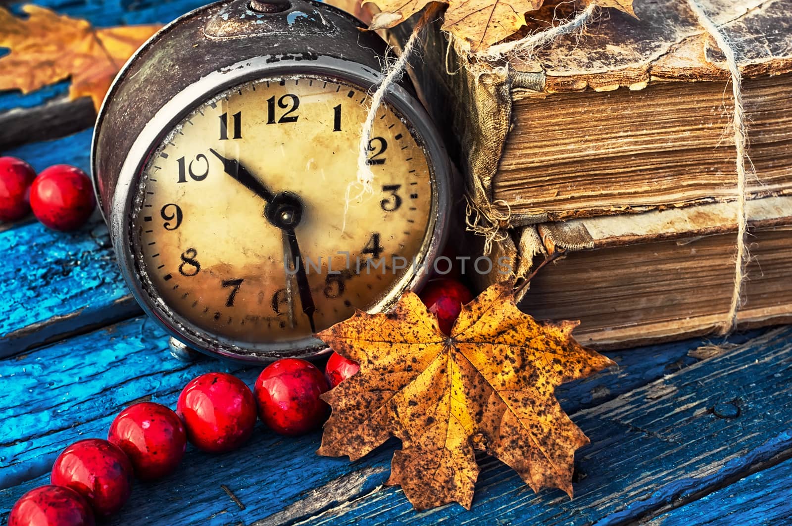 autumn still life by LMykola