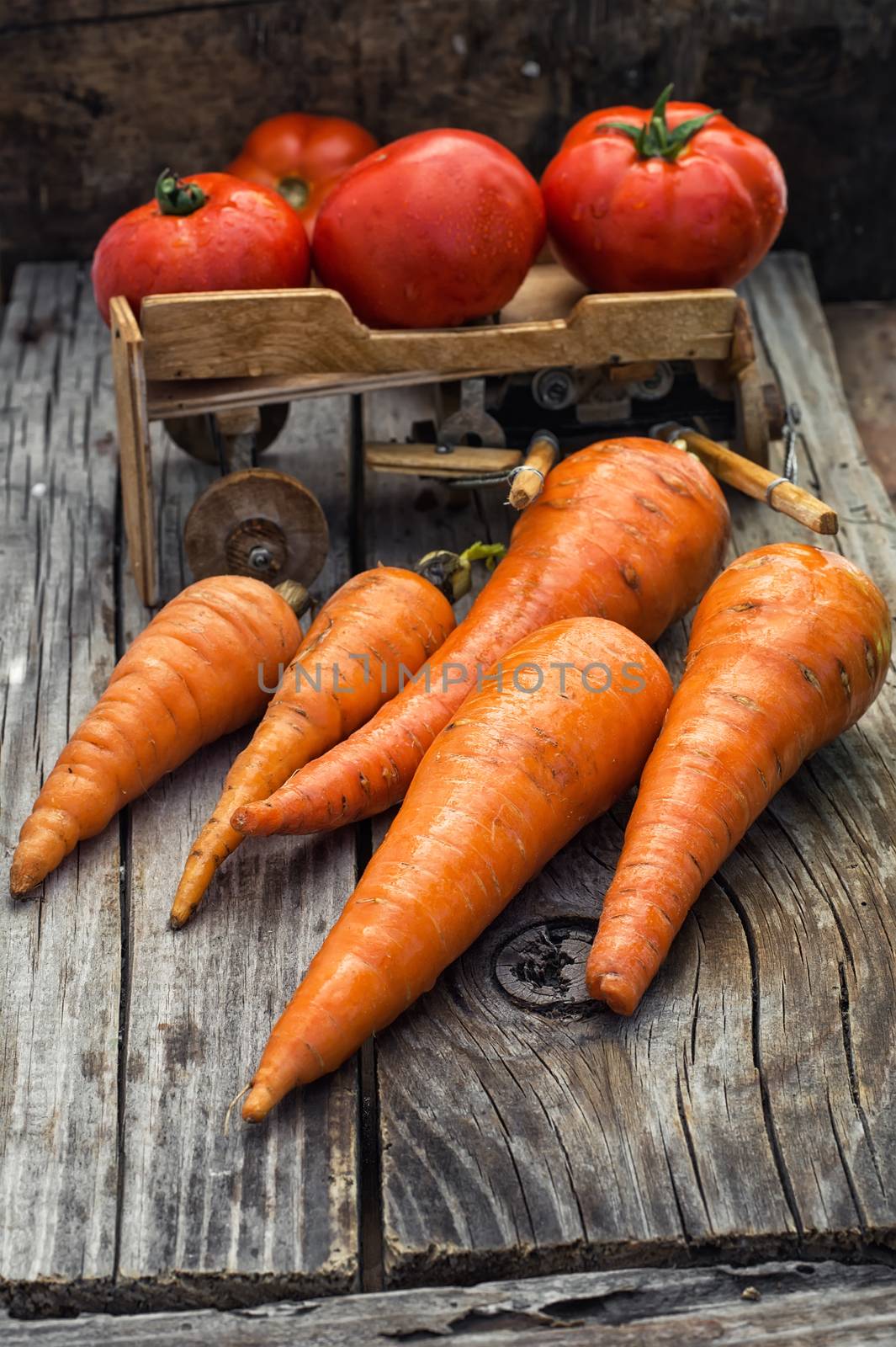 fresh carrots and fruits of tomato in the background is symbolic of  farmer's wagon