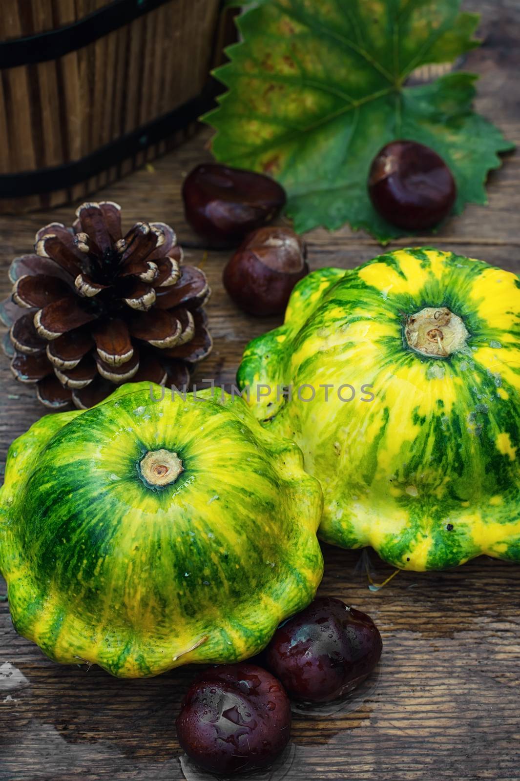 Autumn harvest squash with chestnuts and pine cones on wooden table