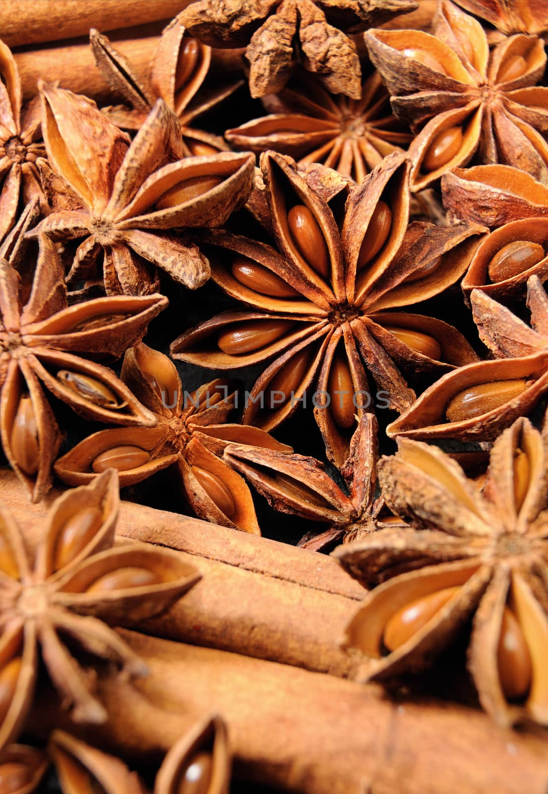 Background texture of several star anise fruits and seeds